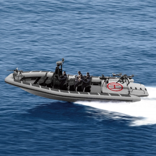 World Leading Module RHIB